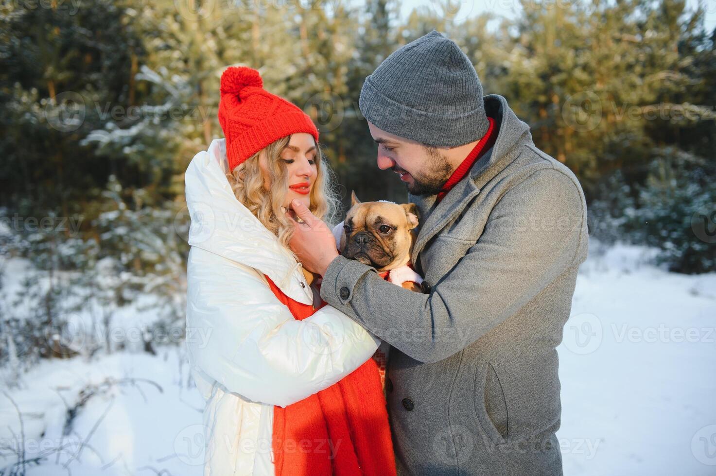 A loving couple walks by the hands on the background of a winter snowy forest. A man is holding a dog. A girl in a white down jacket and a red hat. photo