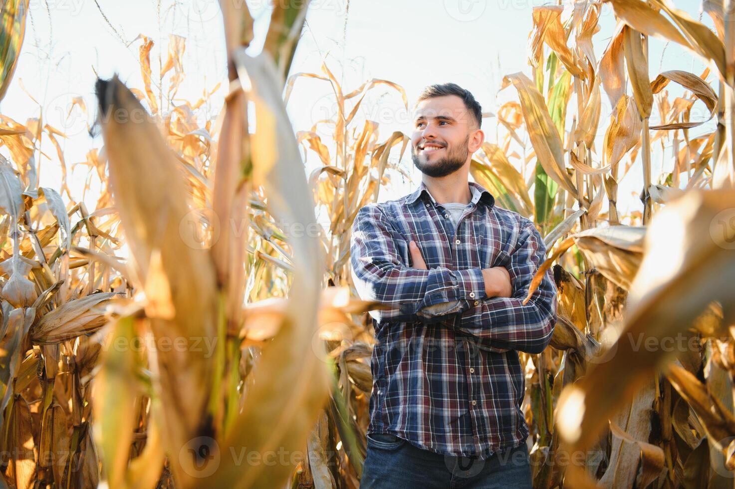 Agronomist checking corn if ready for harvest. Portrait of farmer. photo