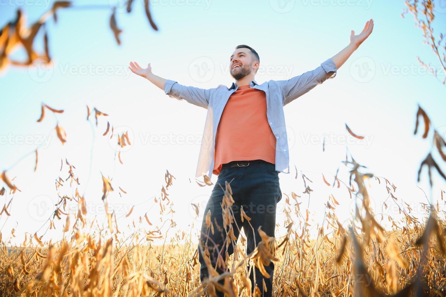 Agronomist inspecting soya bean crops growing in the farm field. Agriculture production concept. young agronomist examines soybean crop on field in summer. Farmer on soybean field. photo