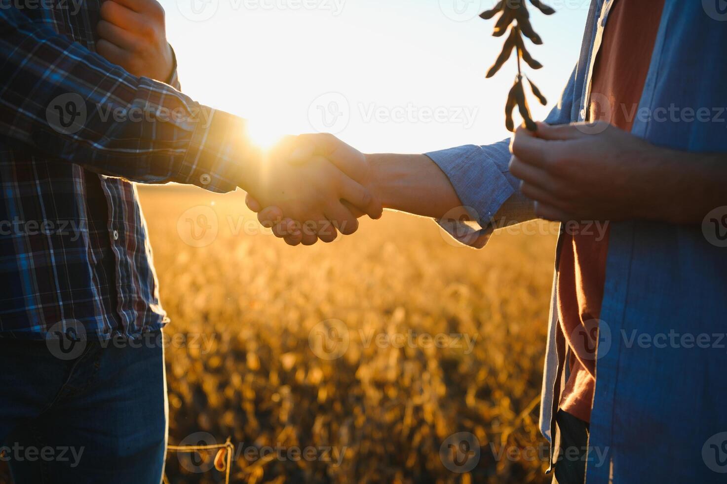 Two farmers shaking hands in soybean field. photo