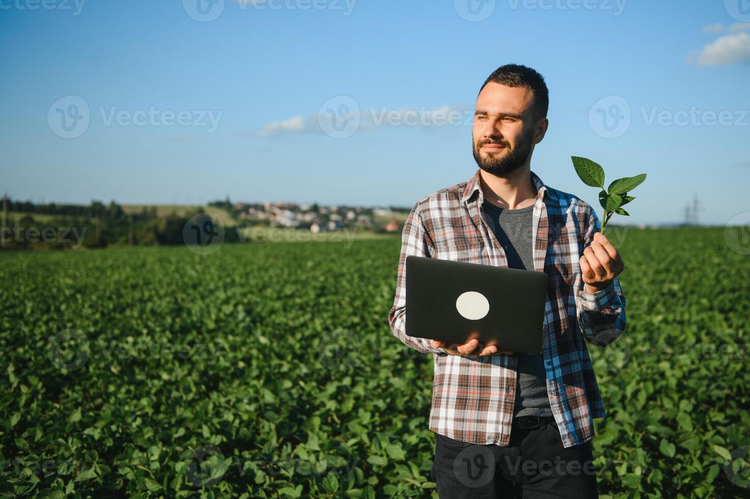 Young handsome agriculture engineer squatting in soybean field with laptop in hands in early summer photo