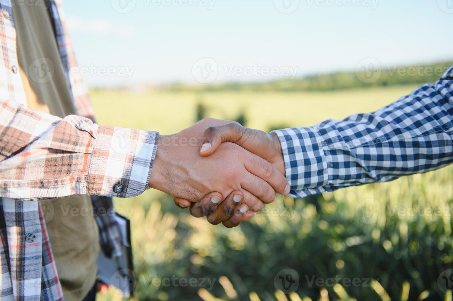 Handshake two farmer on the background of a wheat field at sunset. The concept of the agricultural business photo