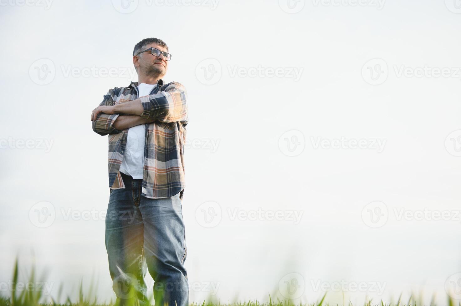A young farmer inspects the quality of wheat sprouts in the field. The concept of agriculture. photo