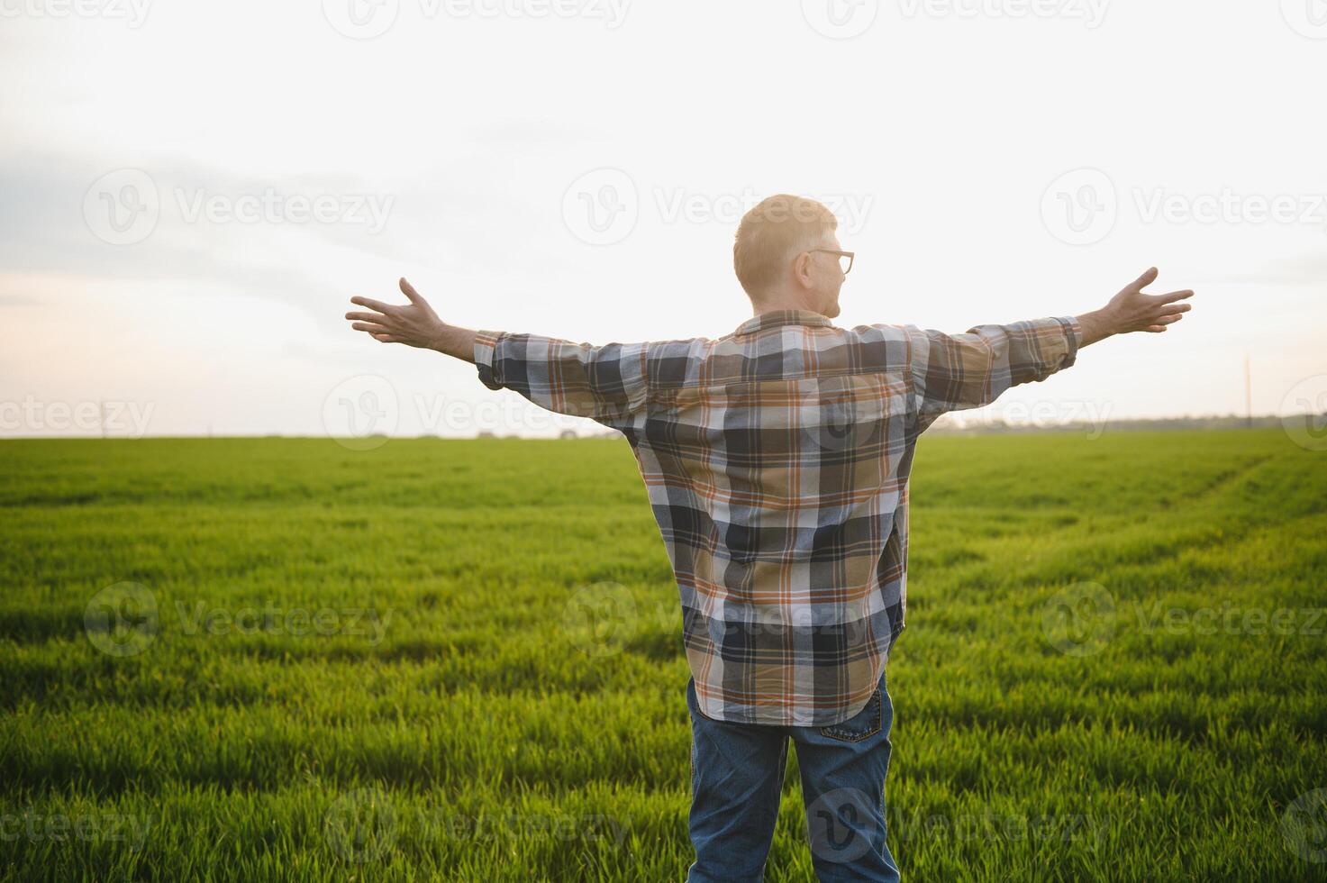 Experienced and confident farmer on his field. Portrait of senior farmer agronomist in wheat field. photo