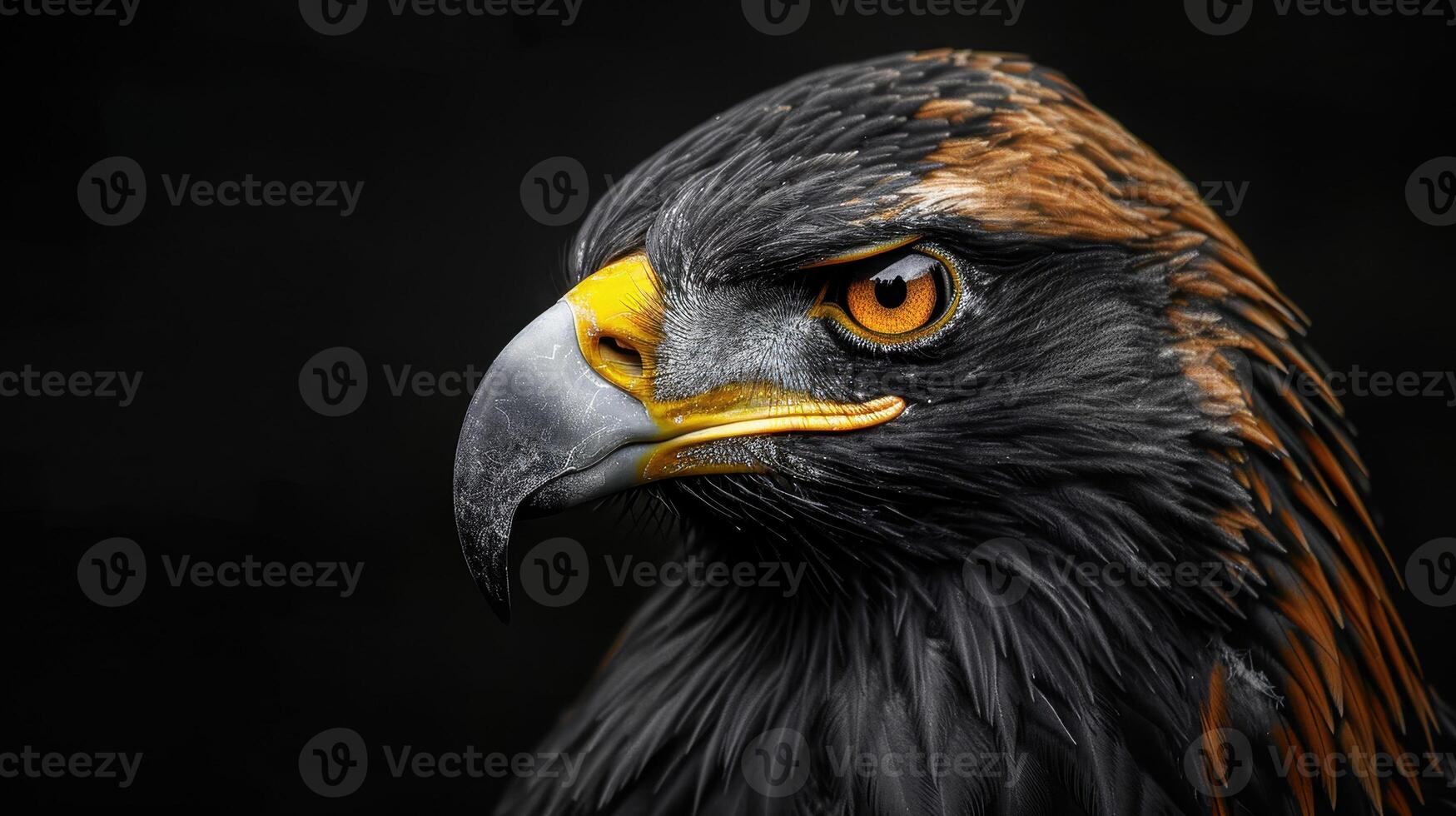 Close-Up Portrait of a Golden Eagle's Head Against a Black Background photo