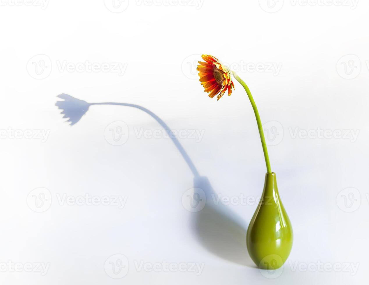 Bouquet of gerbera flowers in ceramic vase photo