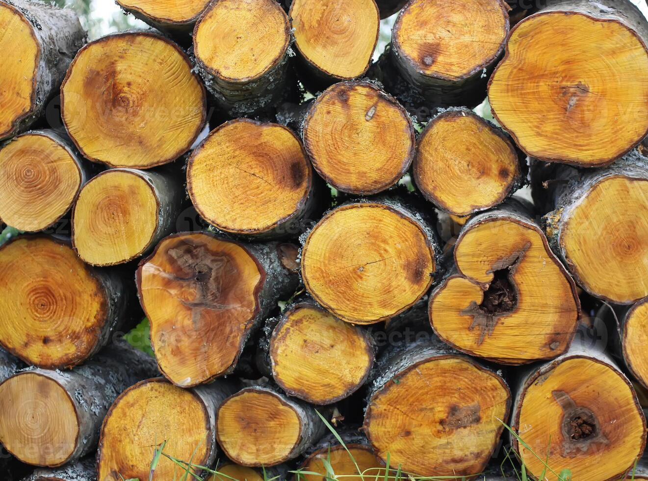 Stack of firewood prepared for winter. photo