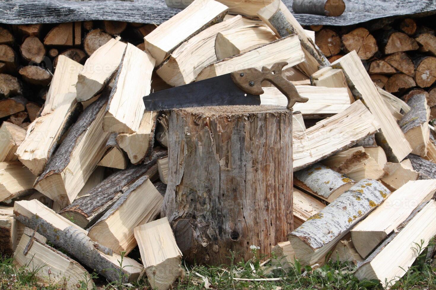 Chopped firewood on a stack photo