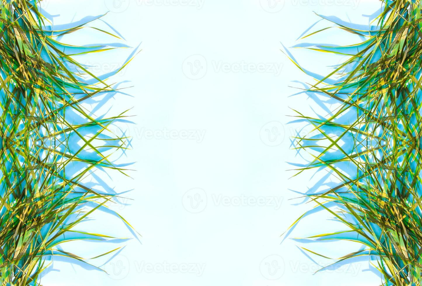 Green leaves on a soft blue background. photo