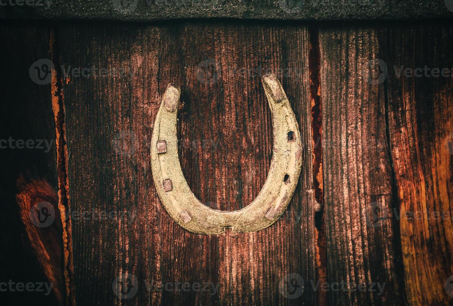 Wooden texture. Natural background. photo