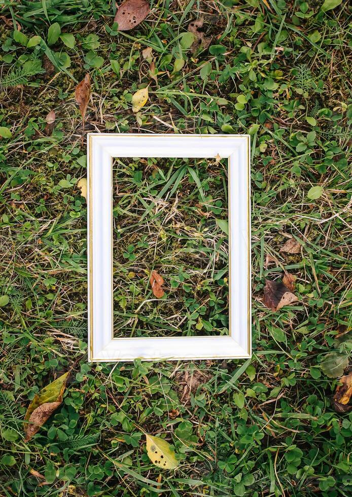 Empty picture or photo frame.