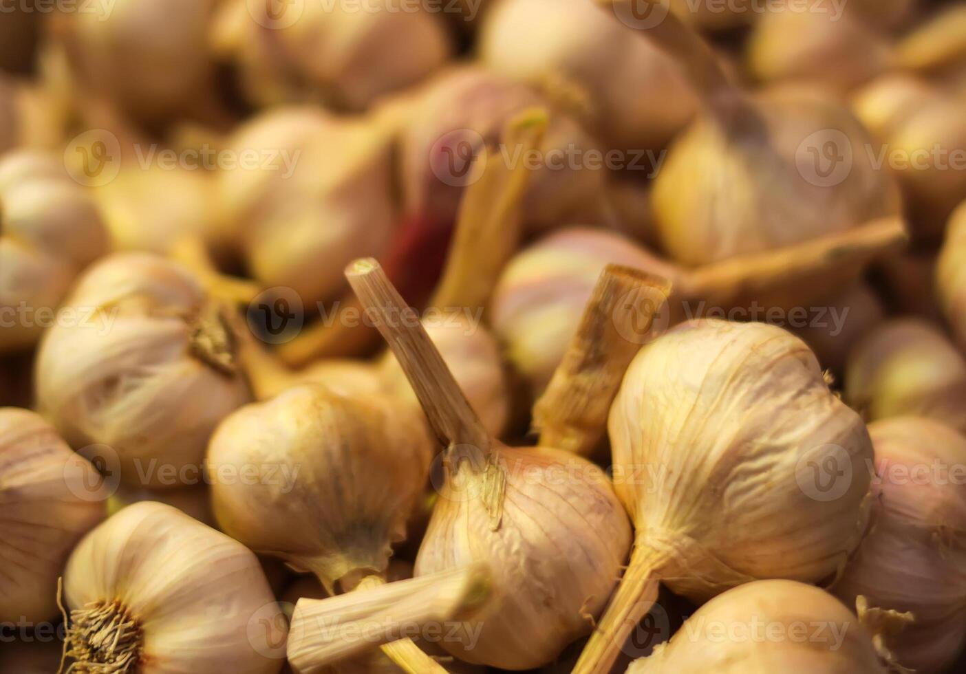 Fresh garlic cloves background. photo