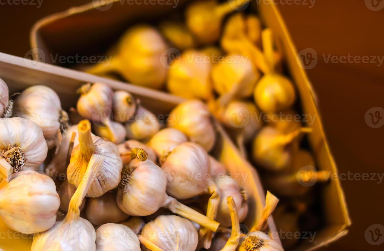 Fresh garlic cloves background. photo