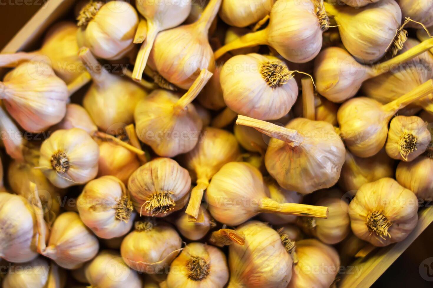 Fresh garlic cloves background. photo