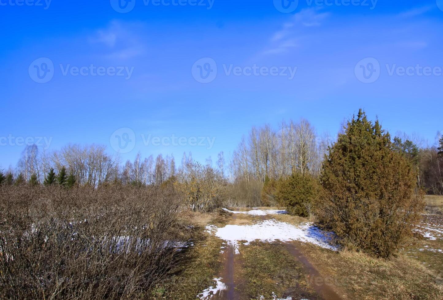 Winter rural landscape photo