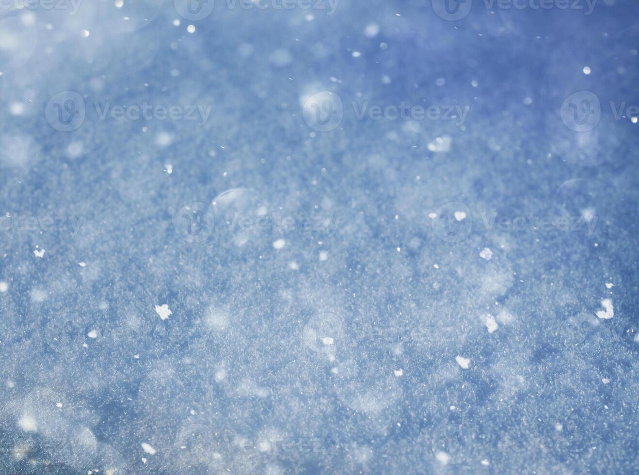 Background of fresh snow texture. photo