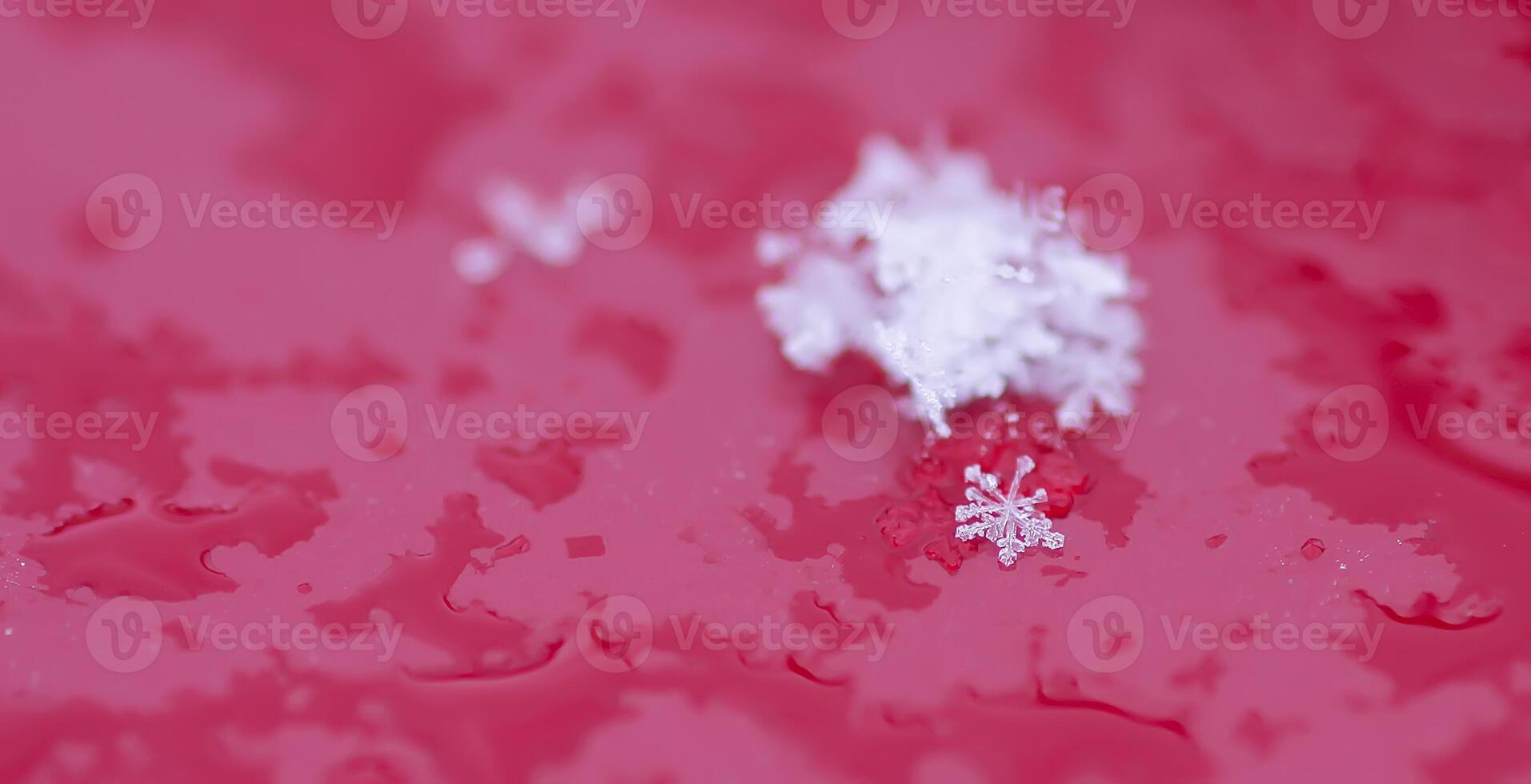 Snowflakes during the snowfall on glass surface photo