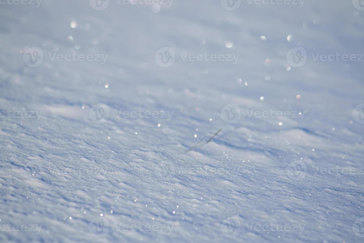 Fresh snow surface in sunny winter day. photo