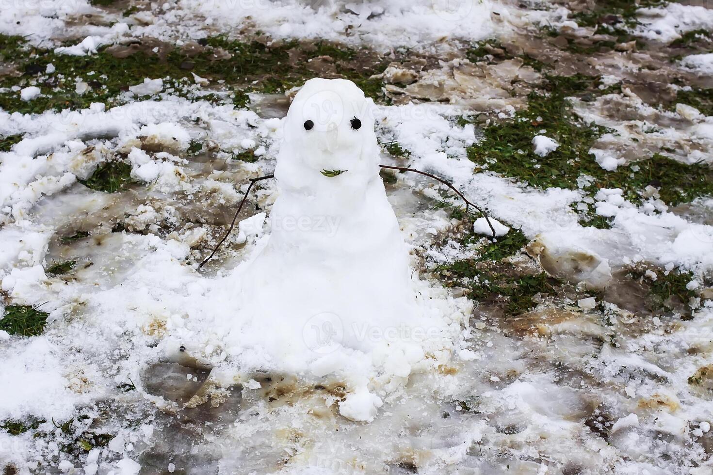 Cute snowman on rural yard. photo