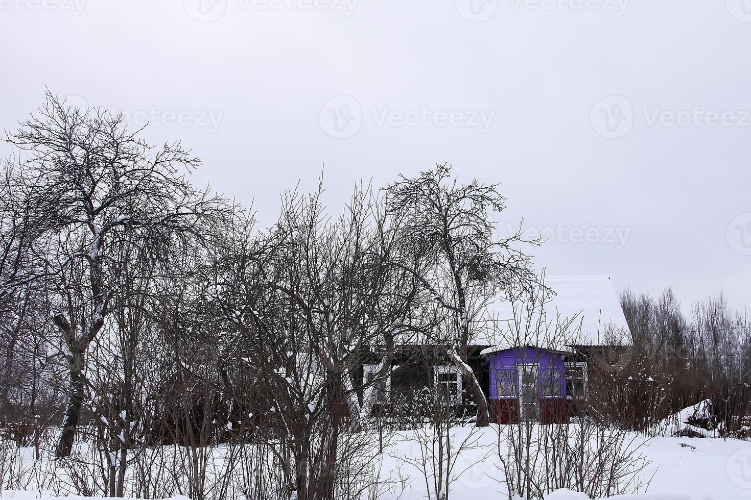 Winter day in Latvia, Europe. Scenic nature view. photo