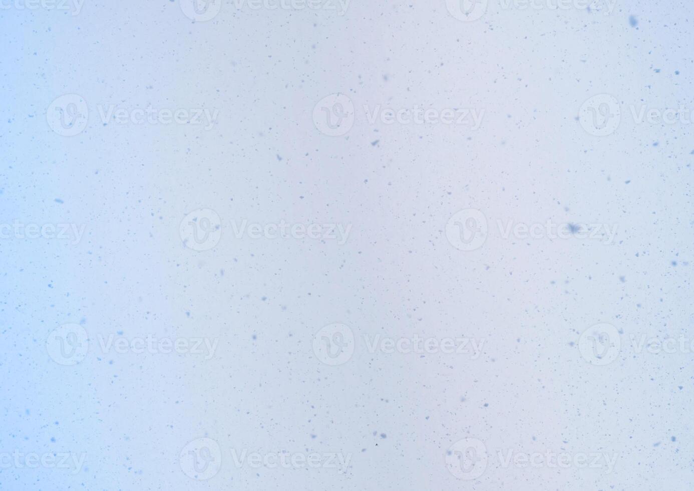 Blurred winter photo overlay. Empty space. Light background with fluffy flying snowflakes.