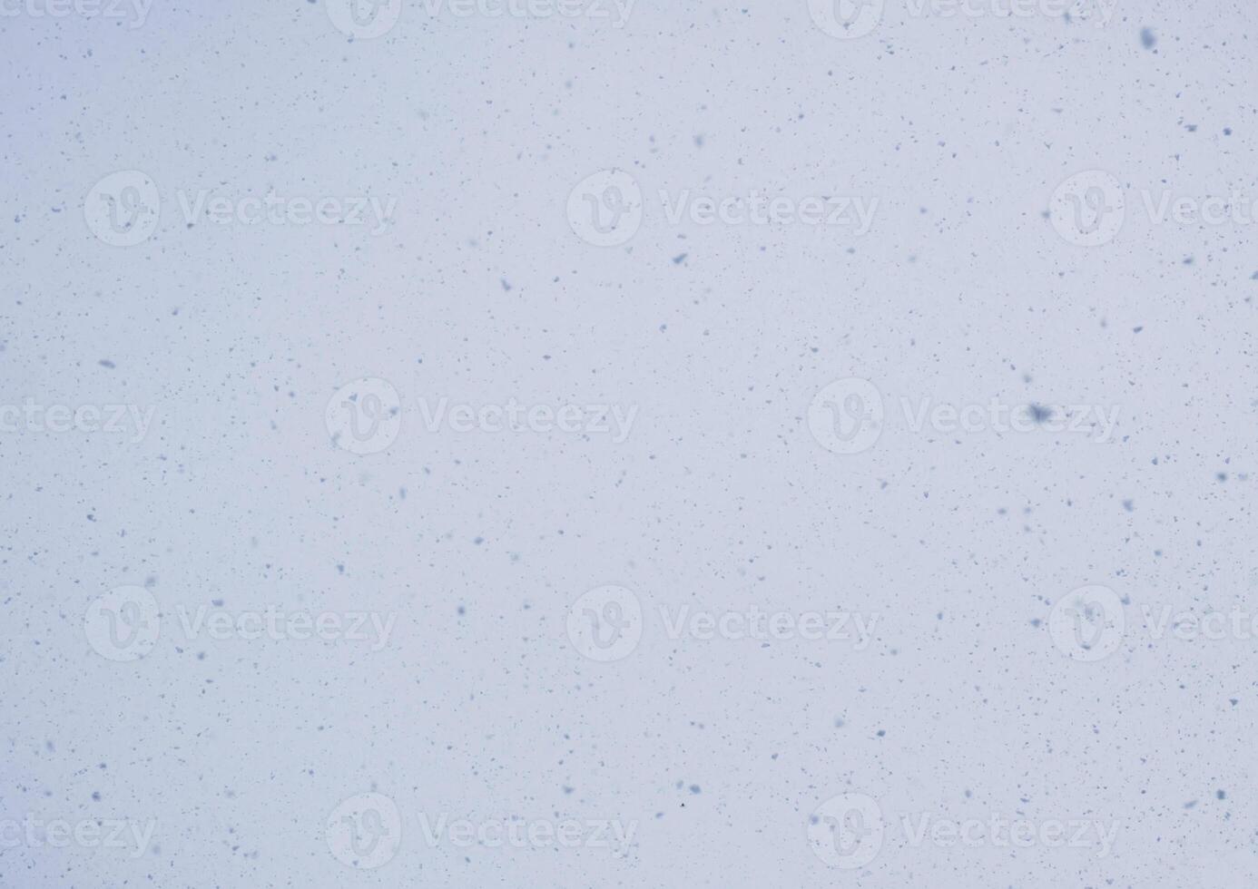 Blurred winter photo overlay. Empty space. Light background with fluffy flying snowflakes.