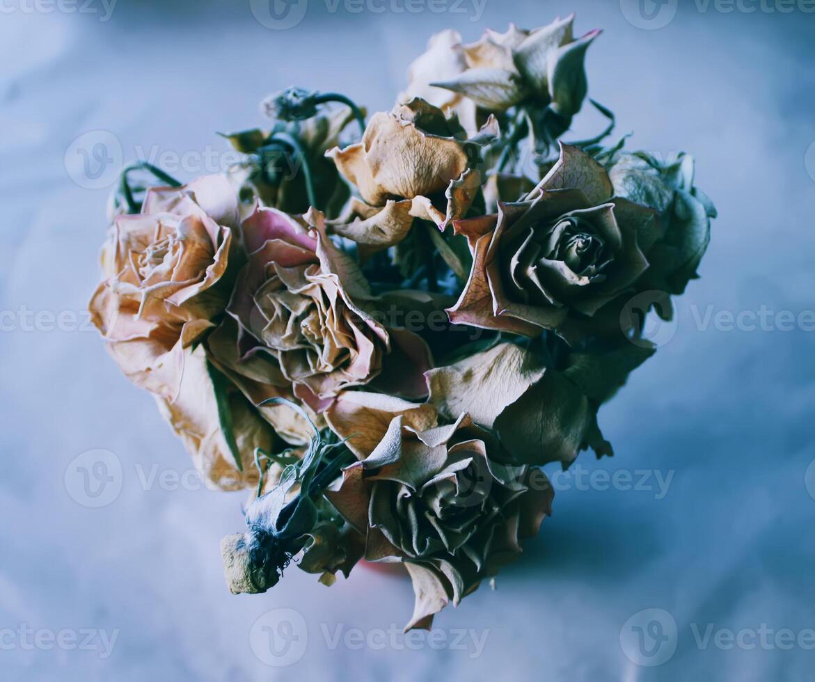 Decoration of dried flowers photo