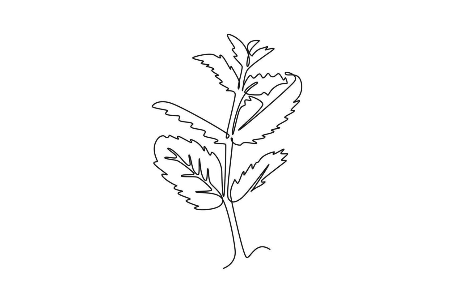 Continuous one line drawing of healthy freshness organic raw mint leaves for farming logo identity. Fresh mentha plant concept for plantation icon. Single line draw design graphic illustration vector