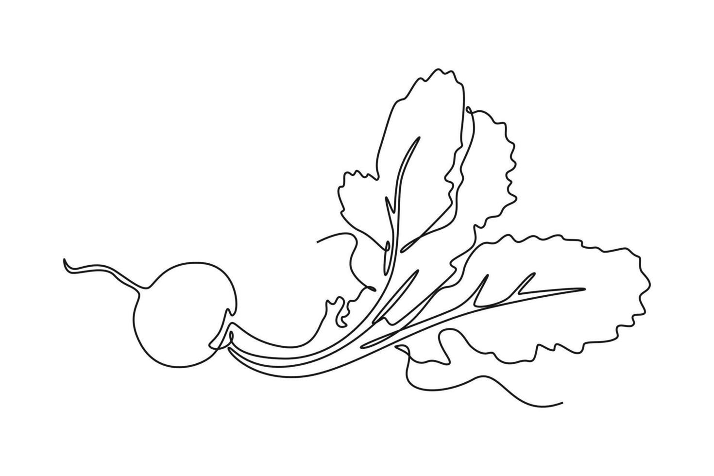 Single one line drawing of whole healthy organic red radish for plantation logo identity. Fresh veggie concept for edible root vegetable icon. Continuous line draw design graphic illustration vector