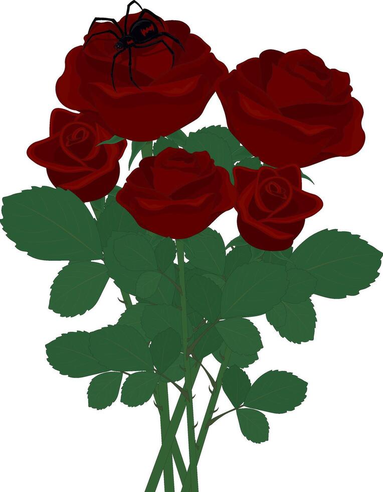Red roses bouquet with black widow spider on rose petals illustration vector