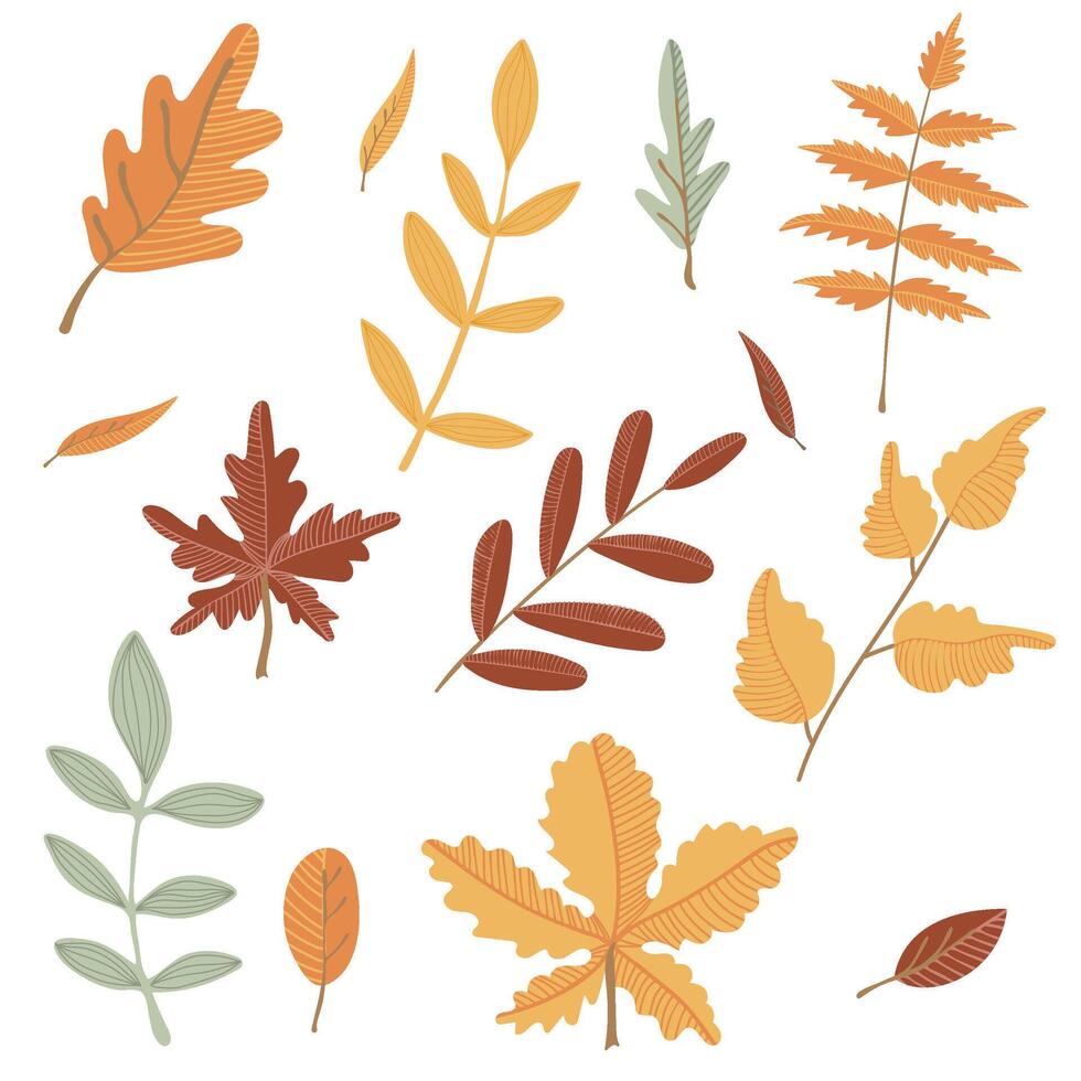 Set of autumn leaves. Maple, oak, chestnut leaves. Hand drawn elements for autumn decorative design, halloween invitation, harvest or thanksgiving vector