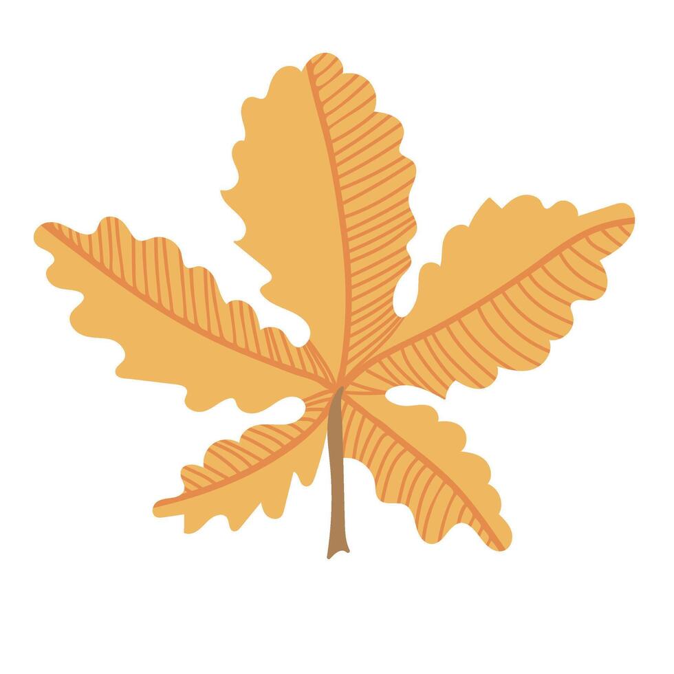 Simple Autumn Chestnut leaf. Hand drawn element for autumn decorative design, halloween invitation, harvest or thanksgiving vector