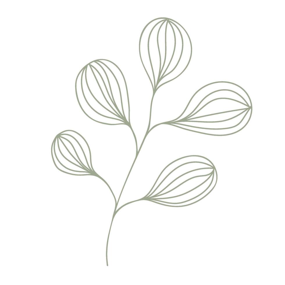 Autumn leaf outline. Hand drawn element for autumn decorative design, halloween invitation, harvest or thanksgiving. vector