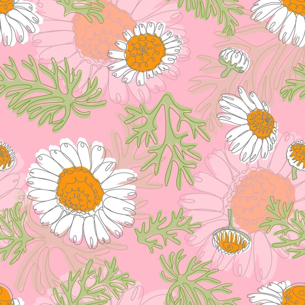 Seamless pattern of camomiles vector