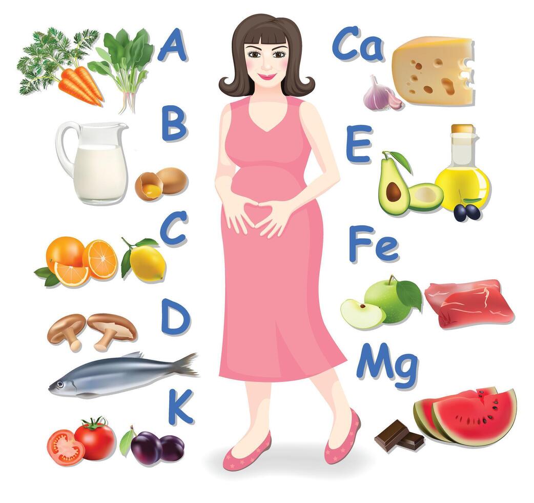 Pregnant woman with a set of vitamin. vector