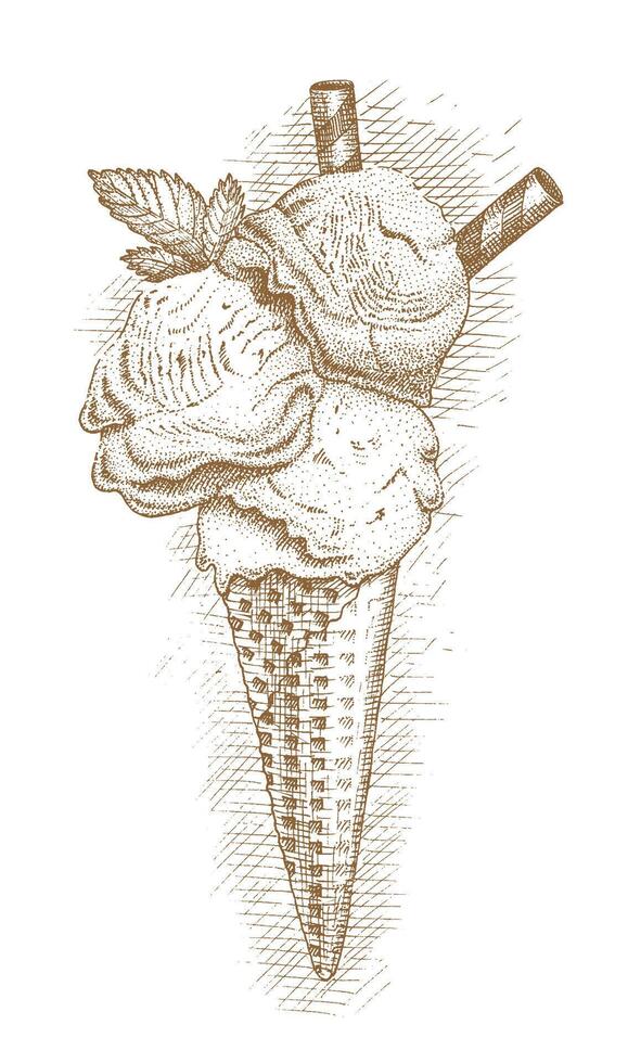Ice cream in a waffle cone by hand drawn vector