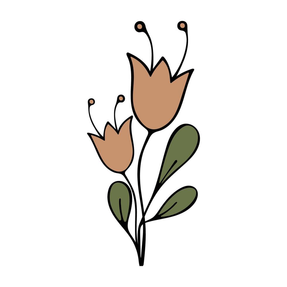 bouquet of wild flowers, bluebells isolated on a white background. vector
