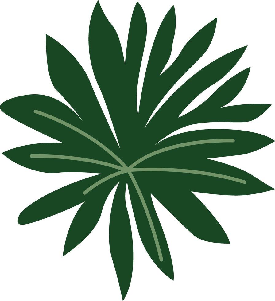 A stylish design featuring a bohemian Monstera leaf with intricate details and artistic flair, perfect for adding a touch of tropical elegance and boho charm to any project. vector