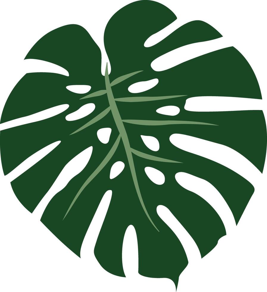 A stylish design featuring a bohemian Monstera leaf with intricate details and artistic flair, perfect for adding a touch of tropical elegance and boho charm to any project. vector