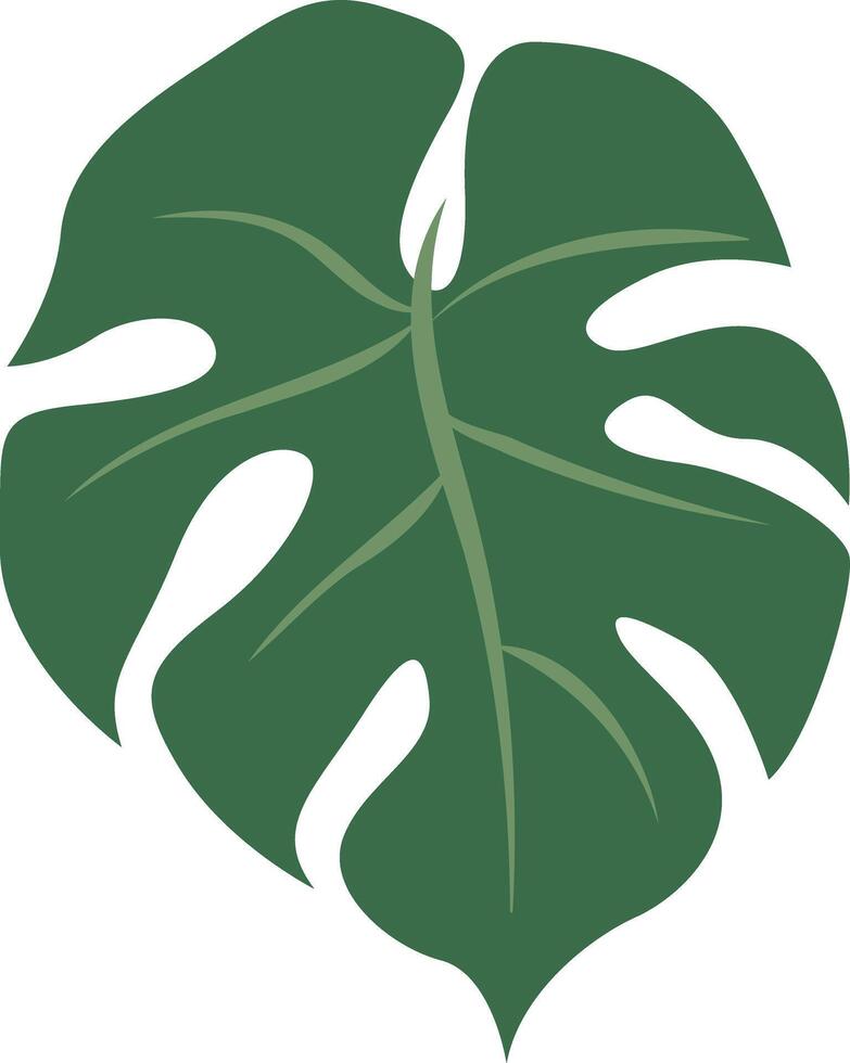 A stylish design featuring a bohemian Monstera leaf with intricate details and artistic flair, perfect for adding a touch of tropical elegance and boho charm to any project. vector