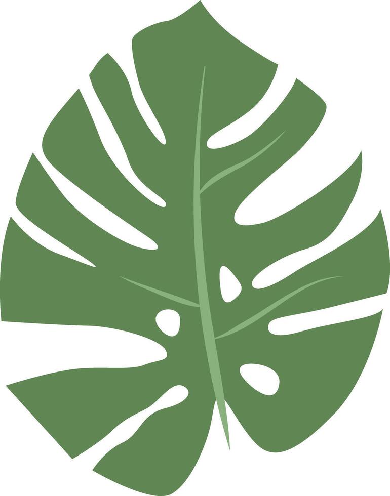 A stylish design featuring a bohemian Monstera leaf with intricate details and artistic flair, perfect for adding a touch of tropical elegance and boho charm to any project. vector