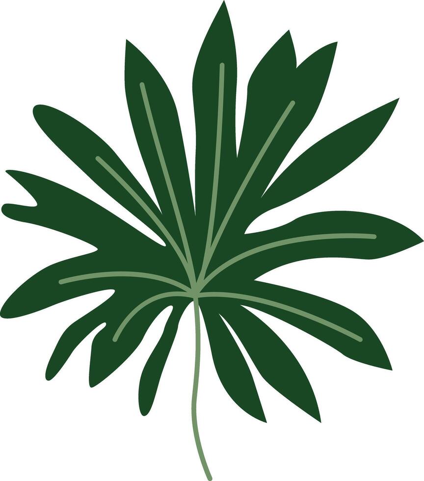 A stylish design featuring a bohemian Monstera leaf with intricate details and artistic flair, perfect for adding a touch of tropical elegance and boho charm to any project. vector