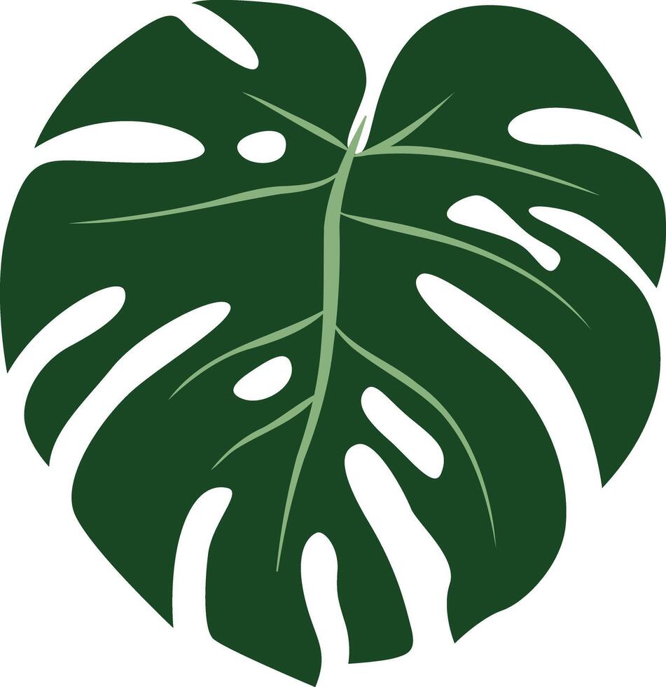 A stylish design featuring a bohemian Monstera leaf with intricate details and artistic flair, perfect for adding a touch of tropical elegance and boho charm to any project. vector