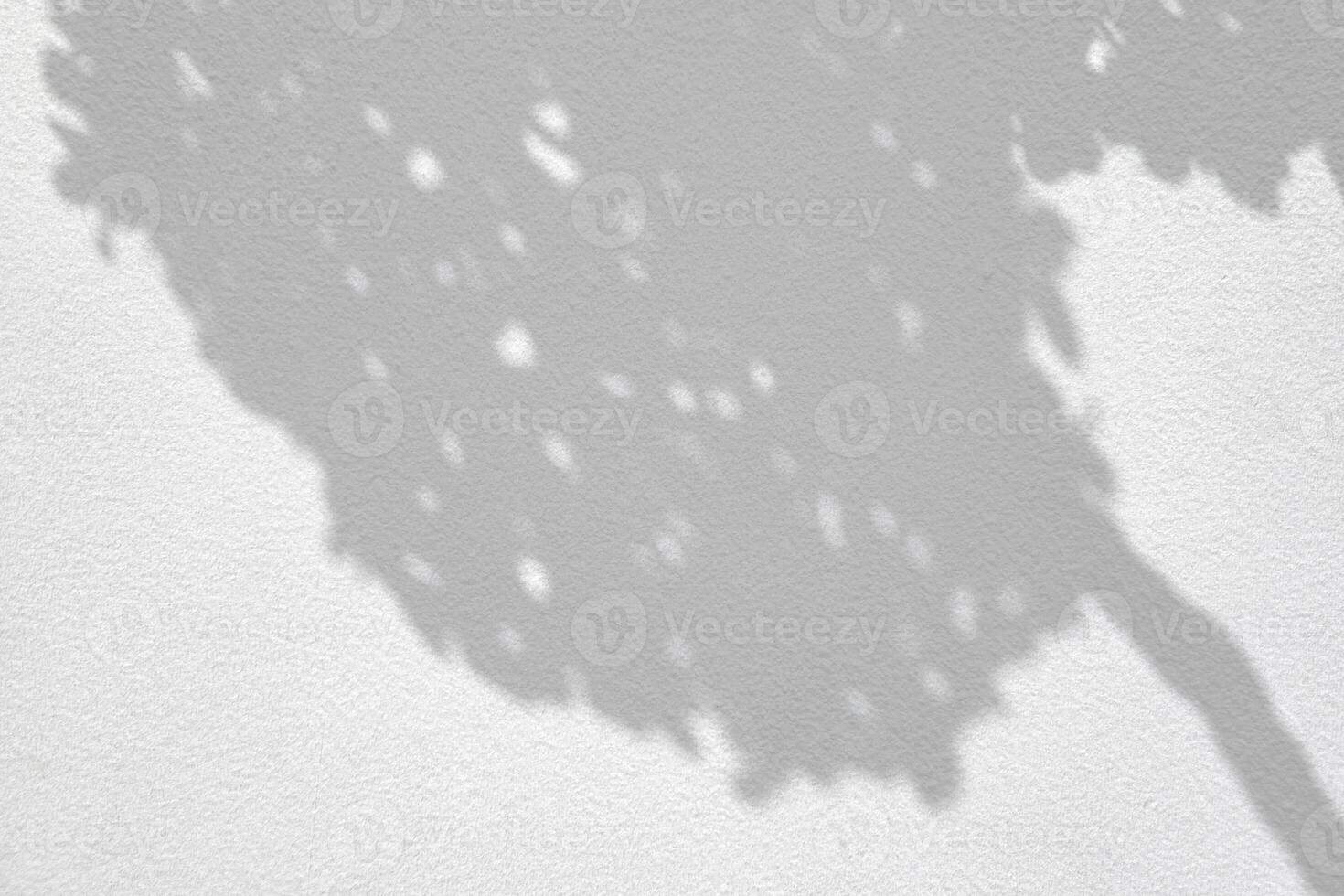 Leaves and Tree Shadow on White Concrete Wall Background with Space for Text photo