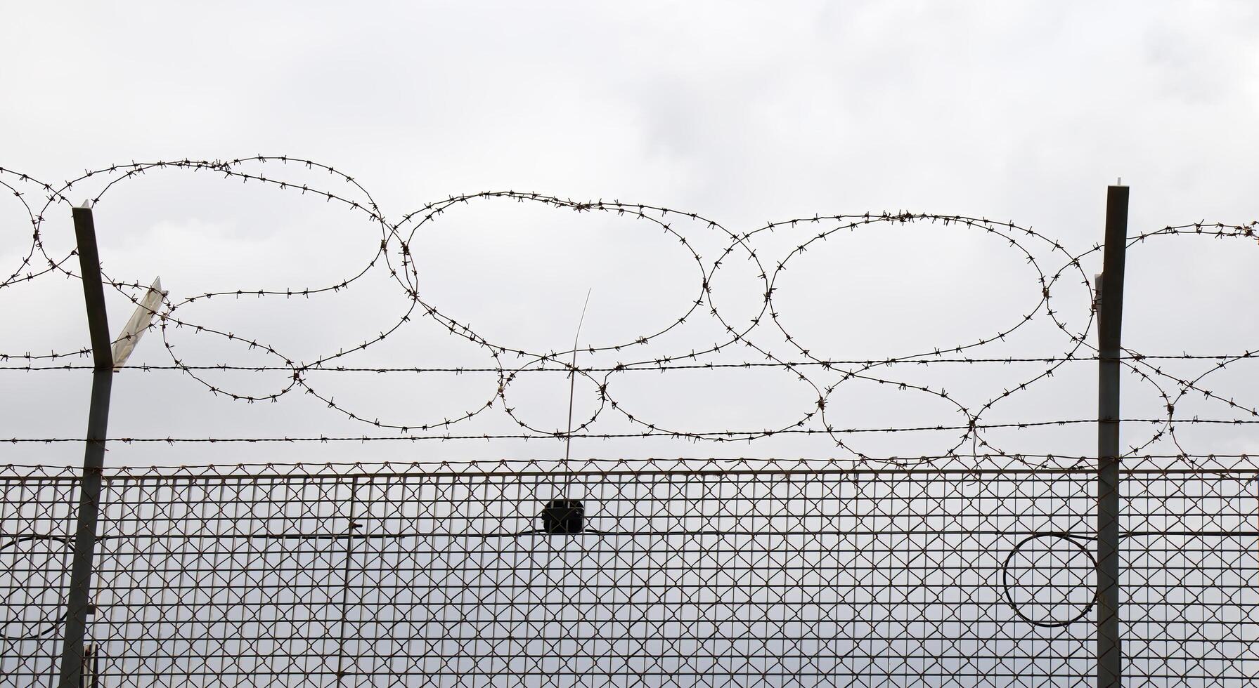 Barbed wire isolated on white background photo