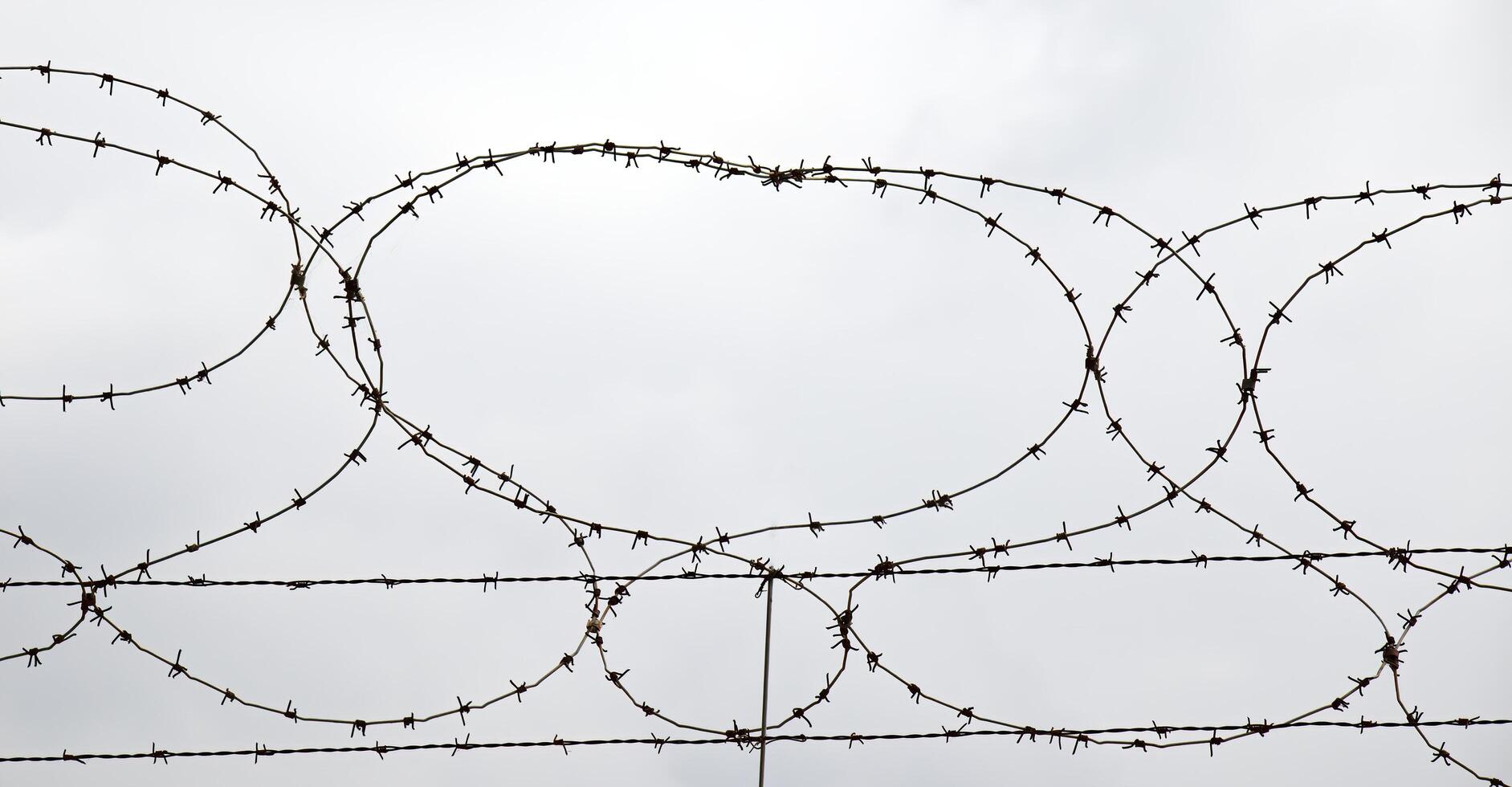 Barbed wire isolated on white photo