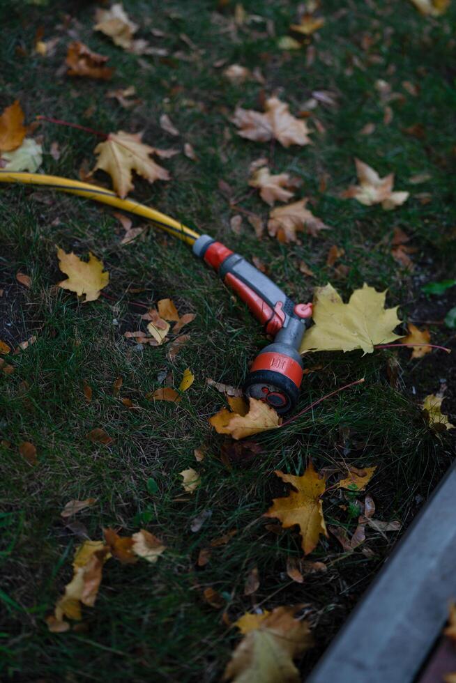 Hose laying on the ground photo
