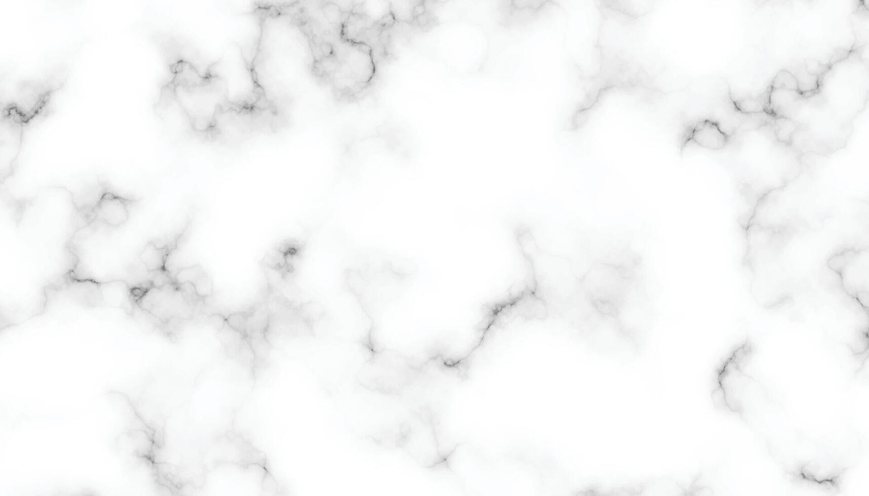 marble granite white panorama background. abstract light elegant black do floor, ceramic texture stone slab. marble texture background with high resolution. vector
