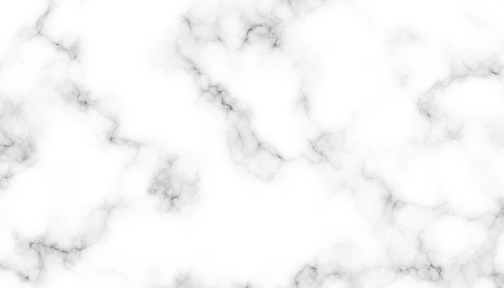 high-resolution white Carrara marble stone texture. vector
