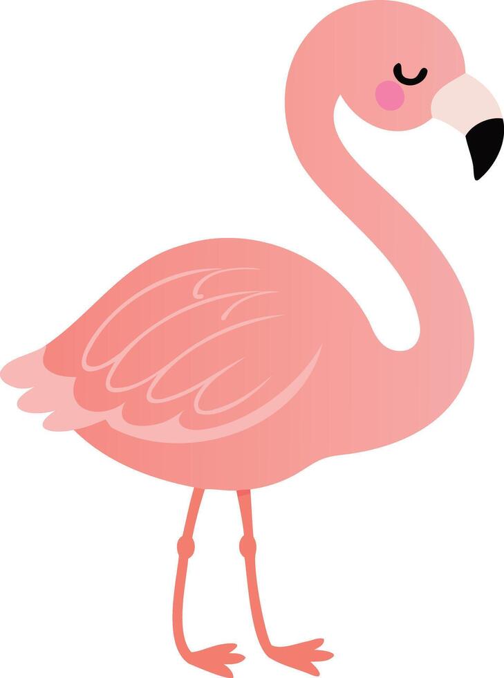 Cute Flamingo Illustration vector